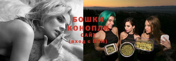 молекула духа Аркадак