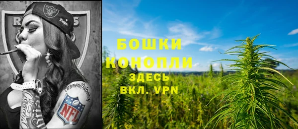 молекула духа Аркадак